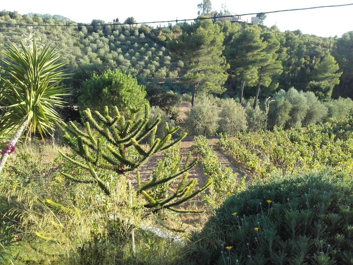 La Bastide De L'Oliveraie Le Castellet  Exteriör bild