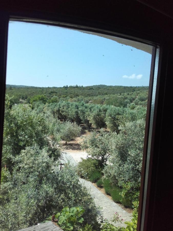 La Bastide De L'Oliveraie Le Castellet  Exteriör bild