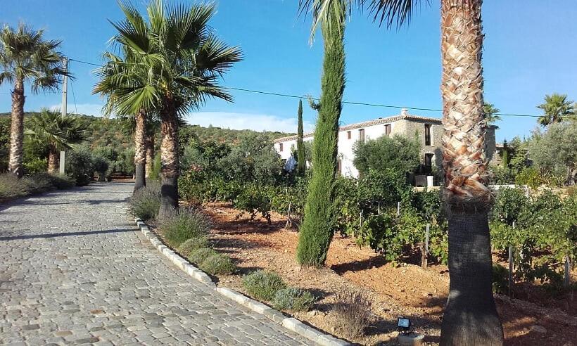 La Bastide De L'Oliveraie Le Castellet  Exteriör bild